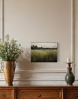 Verdant Serenity | Canvas Print