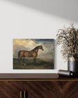 Portrait of a Horse | Canvas Prints