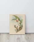 Myiabeillia typica (Abeille's Hummingbird) | Canvas Print