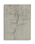 Bare Tree | Canvas Print