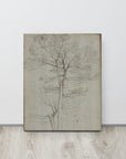 Bare Tree | Canvas Print