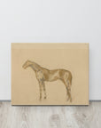 Horse Drawing | Canvas Print