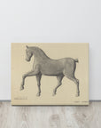 Horse Weather Vane | Canvas Print