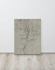 Bare Tree | Canvas Print