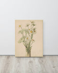 Daisies and Queen Ann's Lace | Canvas Print