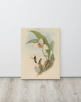 Myiabeillia typica (Abeille's Hummingbird) | Canvas Print