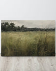 Verdant Serenity | Canvas Print