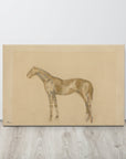 Horse Drawing | Canvas Print