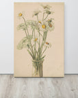 Daisies and Queen Ann's Lace | Canvas Print