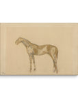 Horse Drawing | Canvas Print