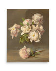 Peonies in a Vase | Poster