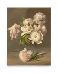 Peonies in a Vase | Poster